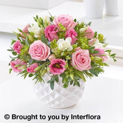 Marshmallow Pink Rose &Freesia Arrangement