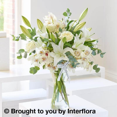 Thinking of You White Lily & Orchid Vase Arrangement