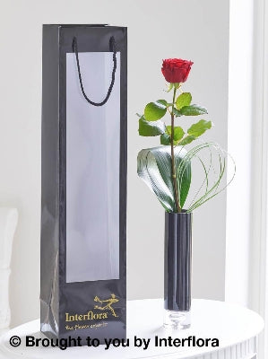 Single Red Rose Vase with 125g Maison Fougere Chocolates