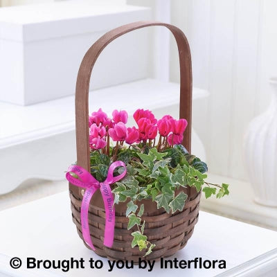 Happy Birthday Pink Cyclamen Basket with 125g Maison Fougere Chocolates