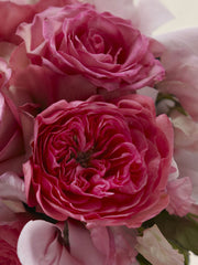 Pink Delight Bouquet