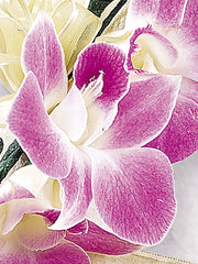 Deep Purple Orchid Corsage