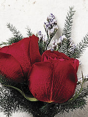 Scarlet Rose Buttonhole