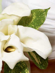 Chic White Calla Lily Bridal Bouquet